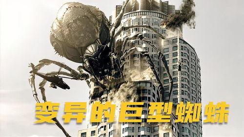 恶魔蜘蛛王在线观看,惊悚奇幻之旅，在线惊悚解密  第2张